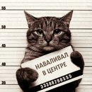 Аватара пользователя