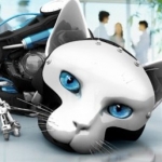 Аватара пользователя