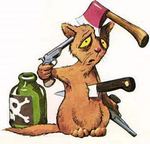 Аватара пользователя