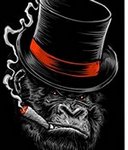 Аватара пользователя