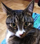 Аватара пользователя