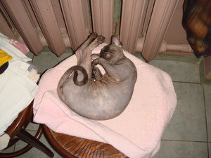 Мотя (4703 просмотра) <a class='original' href='./download/file.php?id=100159&mode=view' target=_blank>Загрузить оригинал (2.09 МБ)</a>