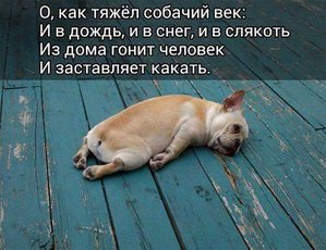 OUtx4dlEaAM.jpg (4682 просмотра) <a class='original' href='./download/file.php?id=100167&mode=view' target=_blank>Загрузить оригинал (47.27 КБ)</a>