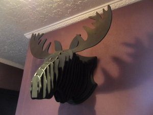 SDC11700.JPG (6317 просмотров) <a class='original' href='./download/file.php?id=100396&mode=view' target=_blank>Загрузить оригинал (1.28 МБ)</a>