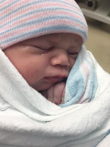 16114699_10158127204720077_3264845383149121500_n(1).jpg (2794 просмотра) <a class='original' href='./download/file.php?id=100436&mode=view' target=_blank>Загрузить оригинал (66.68 КБ)</a>