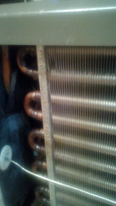 IMG_20170119_211106.jpg (3718 просмотров) <a class='original' href='./download/file.php?id=100527&mode=view' target=_blank>Загрузить оригинал (2.43 МБ)</a>