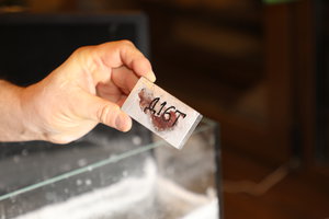 Откуда взялась эта смола--никто не понял. (7162 просмотра) <a class='original' href='./download/file.php?id=101997&mode=view' target=_blank>Загрузить оригинал (5.73 МБ)</a>