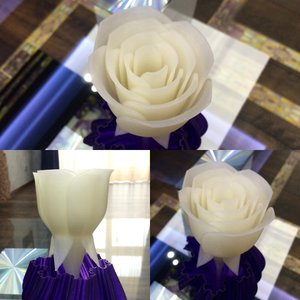 Flower.jpg (2711 просмотров) <a class='original' href='./download/file.php?id=102368&mode=view' target=_blank>Загрузить оригинал (508.76 КБ)</a>