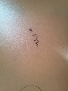 IMG_2017-02-09_201518_HDR.jpg (3583 просмотра) <a class='original' href='./download/file.php?id=102707&mode=view' target=_blank>Загрузить оригинал (1.05 МБ)</a>