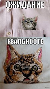 1440155499_2030487732.jpg (5372 просмотра) <a class='original' href='./download/file.php?id=103473&mode=view' target=_blank>Загрузить оригинал (201.59 КБ)</a>