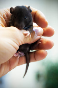 DSC_0205.jpg (2197 просмотров) <a class='original' href='./download/file.php?id=104021&mode=view' target=_blank>Загрузить оригинал (478.54 КБ)</a>