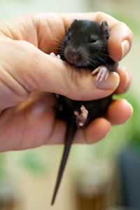 DSC_0344.jpg (2197 просмотров) <a class='original' href='./download/file.php?id=104024&mode=view' target=_blank>Загрузить оригинал (681.56 КБ)</a>