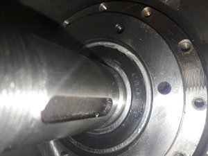 20170221_200254.jpg (4344 просмотра) <a class='original' href='./download/file.php?id=104111&mode=view' target=_blank>Загрузить оригинал (3.55 МБ)</a>