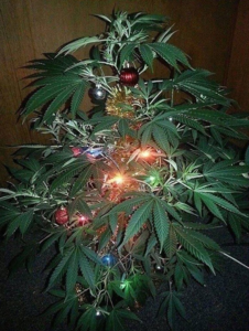 Screenshot - 21.02.2017 , 18_10_19.png (2429 просмотров) <a class='original' href='./download/file.php?id=104158&mode=view' target=_blank>Загрузить оригинал (1.15 МБ)</a>