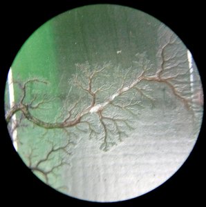 IMG_20170306_110955.jpg (3452 просмотра) <a class='original' href='./download/file.php?id=105184&mode=view' target=_blank>Загрузить оригинал (2.09 МБ)</a>