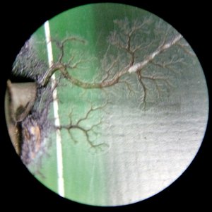 IMG_20170306_111315.jpg (3452 просмотра) <a class='original' href='./download/file.php?id=105185&mode=view' target=_blank>Загрузить оригинал (1.9 МБ)</a>