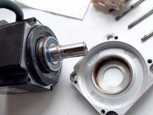 DSC03163.JPG (4878 просмотров) <a class='original' href='./download/file.php?id=105715&mode=view' target=_blank>Загрузить оригинал (110.48 КБ)</a>