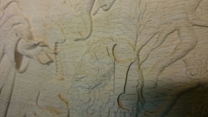 IMG-20170312-WA0005.jpg (4979 просмотров) <a class='original' href='./download/file.php?id=105814&mode=view' target=_blank>Загрузить оригинал (88.5 КБ)</a>