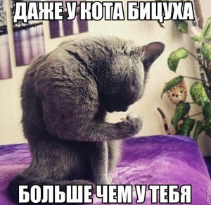 IMG-20170224-WA0021.jpg (2859 просмотров) <a class='original' href='./download/file.php?id=106081&mode=view' target=_blank>Загрузить оригинал (76.75 КБ)</a>