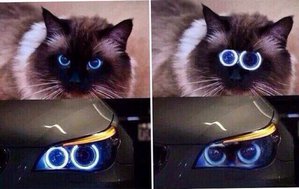 IMG-20170308-WA0048.jpg (2859 просмотров) <a class='original' href='./download/file.php?id=106087&mode=view' target=_blank>Загрузить оригинал (60.81 КБ)</a>