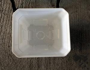 IMG_5926.JPG (10647 просмотров) <a class='original' href='./download/file.php?id=106497&mode=view' target=_blank>Загрузить оригинал (273.06 КБ)</a>