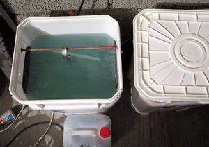 IMG_5929.JPG (10565 просмотров) <a class='original' href='./download/file.php?id=106498&mode=view' target=_blank>Загрузить оригинал (214.59 КБ)</a>