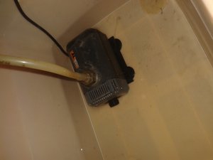 20170323_161545.jpg (6353 просмотра) <a class='original' href='./download/file.php?id=106932&mode=view' target=_blank>Загрузить оригинал (1.42 МБ)</a>