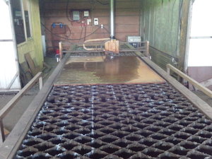 IMG_20130111_103042.jpg (6104 просмотра) <a class='original' href='./download/file.php?id=10754&mode=view' target=_blank>Загрузить оригинал (843.93 КБ)</a>