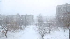 2017-03-30 16-17-09.JPG (2147 просмотров) <a class='original' href='./download/file.php?id=107679&mode=view' target=_blank>Загрузить оригинал (1.9 МБ)</a>