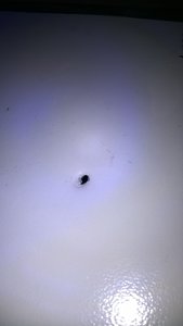 IMG-20170124-WA0005.jpg (9220 просмотров) <a class='original' href='./download/file.php?id=108228&mode=view' target=_blank>Загрузить оригинал (1.08 МБ)</a>