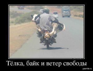 1351281705_444.jpg (3510 просмотров) <a class='original' href='./download/file.php?id=10829&mode=view' target=_blank>Загрузить оригинал (121.99 КБ)</a>