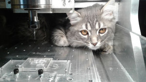 20170323_17824.jpg (4572 просмотра) <a class='original' href='./download/file.php?id=108385&mode=view' target=_blank>Загрузить оригинал (129.04 КБ)</a>