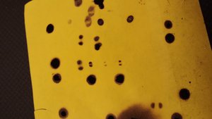 20170413_013003.jpg (4709 просмотров) <a class='original' href='./download/file.php?id=108785&mode=view' target=_blank>Загрузить оригинал (1.93 МБ)</a>