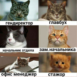 Screenshot - 15.04.2017 , 17_03_31.png (2682 просмотра) <a class='original' href='./download/file.php?id=108959&mode=view' target=_blank>Загрузить оригинал (1.06 МБ)</a>