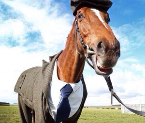 image (3).jpg (2205 просмотров) <a class='original' href='./download/file.php?id=109340&mode=view' target=_blank>Загрузить оригинал (74.85 КБ)</a>