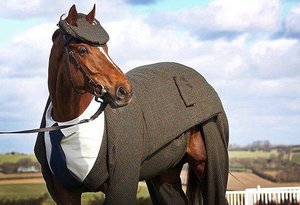 image.jpg (2205 просмотров) <a class='original' href='./download/file.php?id=109341&mode=view' target=_blank>Загрузить оригинал (61.06 КБ)</a>