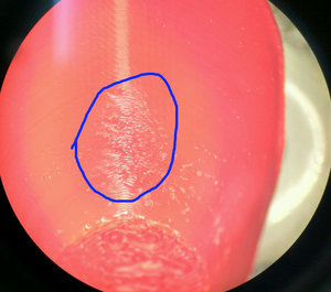 IMG_20170428_174741_HDR.jpg (1978 просмотров) <a class='original' href='./download/file.php?id=110195&mode=view' target=_blank>Загрузить оригинал (197.73 КБ)</a>