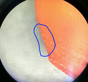 IMG_20170428_175037_HDR.jpg (1978 просмотров) <a class='original' href='./download/file.php?id=110196&mode=view' target=_blank>Загрузить оригинал (195.79 КБ)</a>