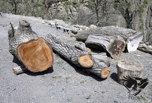 IMG_6059.JPG (5828 просмотров) <a class='original' href='./download/file.php?id=110344&mode=view' target=_blank>Загрузить оригинал (484.74 КБ)</a>