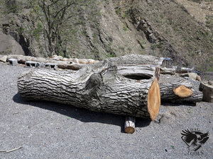 IMG_6060.JPG (5828 просмотров) <a class='original' href='./download/file.php?id=110345&mode=view' target=_blank>Загрузить оригинал (519.06 КБ)</a>