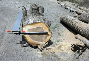 IMG_6061.JPG (5828 просмотров) <a class='original' href='./download/file.php?id=110346&mode=view' target=_blank>Загрузить оригинал (484.48 КБ)</a>