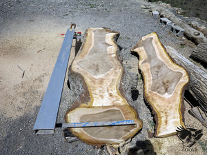 IMG_6063.JPG (5828 просмотров) <a class='original' href='./download/file.php?id=110348&mode=view' target=_blank>Загрузить оригинал (485.53 КБ)</a>