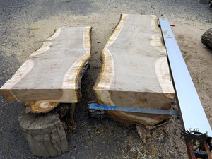 IMG_6065.JPG (5828 просмотров) <a class='original' href='./download/file.php?id=110350&mode=view' target=_blank>Загрузить оригинал (410.85 КБ)</a>