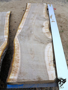 IMG_6067.JPG (5828 просмотров) <a class='original' href='./download/file.php?id=110352&mode=view' target=_blank>Загрузить оригинал (373.2 КБ)</a>