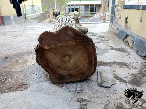 IMG_6069.JPG (5828 просмотров) <a class='original' href='./download/file.php?id=110354&mode=view' target=_blank>Загрузить оригинал (384.34 КБ)</a>