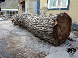 IMG_6070.JPG (5828 просмотров) <a class='original' href='./download/file.php?id=110355&mode=view' target=_blank>Загрузить оригинал (429.33 КБ)</a>