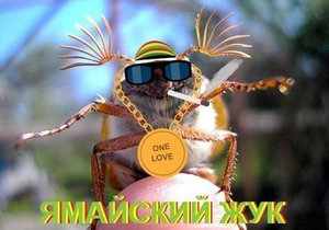 ямайский жук.jpg (2811 просмотров) <a class='original' href='./download/file.php?id=110360&mode=view' target=_blank>Загрузить оригинал (44.49 КБ)</a>