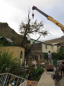 IMG_1763.JPG (5786 просмотров) <a class='original' href='./download/file.php?id=110366&mode=view' target=_blank>Загрузить оригинал (342.3 КБ)</a>