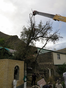 IMG_1765.JPG (5786 просмотров) <a class='original' href='./download/file.php?id=110367&mode=view' target=_blank>Загрузить оригинал (309.13 КБ)</a>