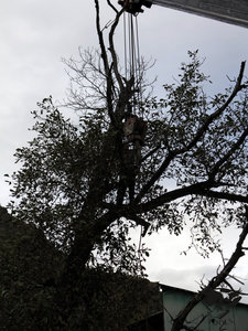 IMG_1766.JPG (5786 просмотров) <a class='original' href='./download/file.php?id=110368&mode=view' target=_blank>Загрузить оригинал (387.49 КБ)</a>